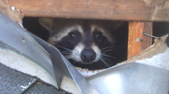 Solve this problem yourself for free!